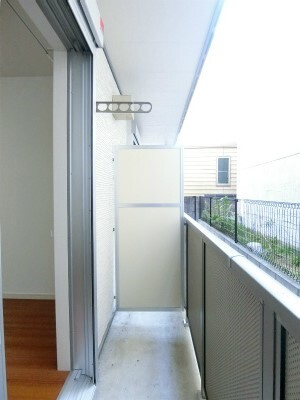 リブリ・ダーシェンカのその他