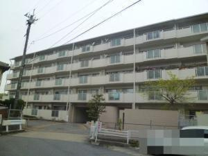 【外観】 | 外観