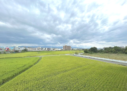 岸和田市箕土路町3丁目戸建の展望|バルコニーからの眺め