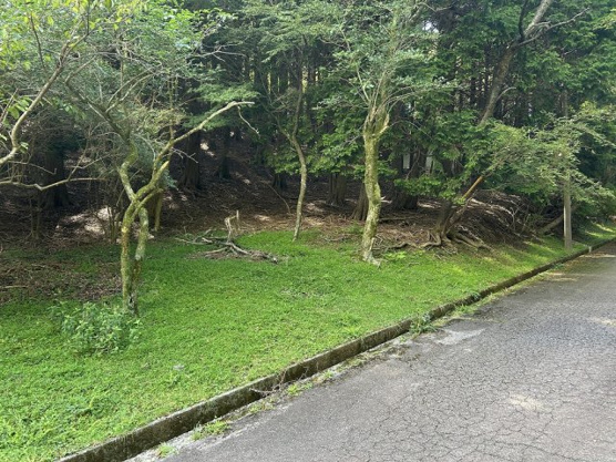 【外観】 | 東急天城高原別荘地　売地