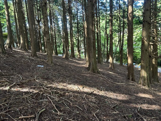【周辺】 | 東急天城高原別荘地　売地
