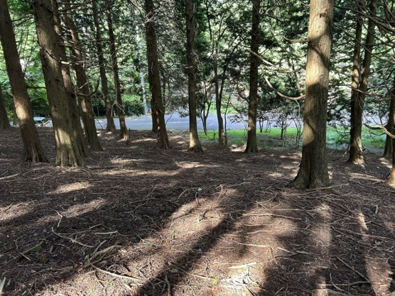 【外観】 | 東急天城高原別荘地　売地