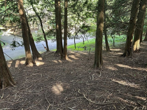 【外観】 | 東急天城高原別荘地　売地