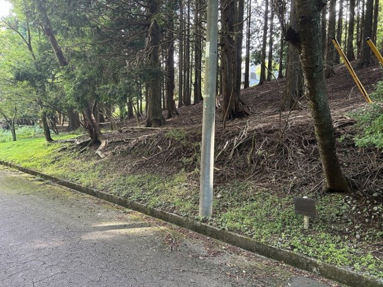 【前面道路含む現地写真】 | 東急天城高原別荘地　売地