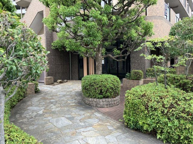 セザール第三溝ノ口のエントランス|毎日通るエントランスはこのようになっています