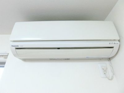 リブリ・ダーシェンカのその他