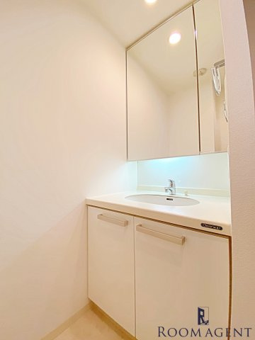 レジディア久屋大通の洗面所