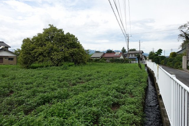 高崎市町屋町　【南道路７８８坪】売地の外観|南から北方向