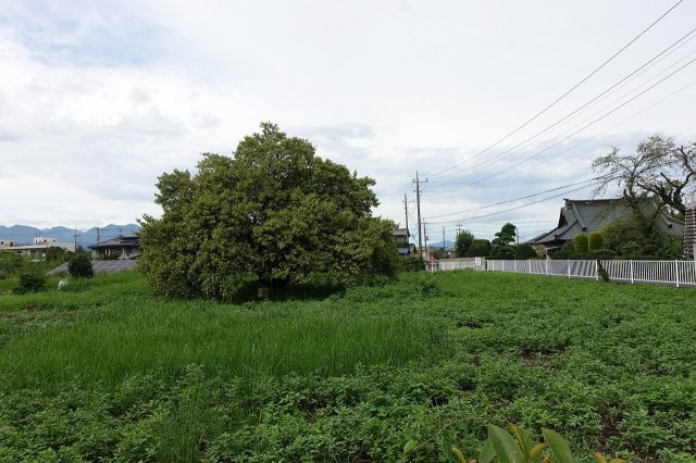 高崎市町屋町　【南道路７８８坪】売地の外観|南から北方向