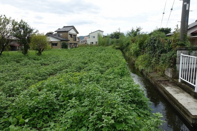 高崎市町屋町　【南道路７８８坪】売地の外観|東から西方向