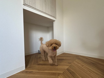 【内装】 | エントランスライフ宝ヶ池 | 寝床やトイレなどの愛犬のスペースにぴったりです