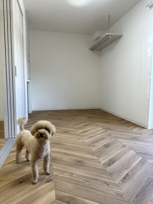 【洋室】 | エントランスライフ宝ヶ池