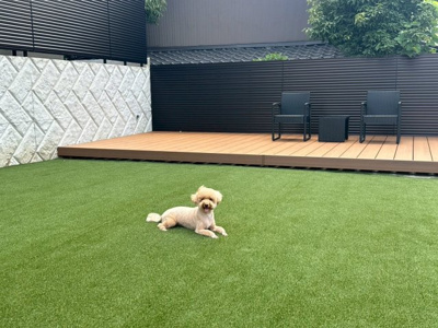 【その他共用部分】 | エントランスライフ宝ヶ池 | 敷地内に入居者専用のドッグランを併設