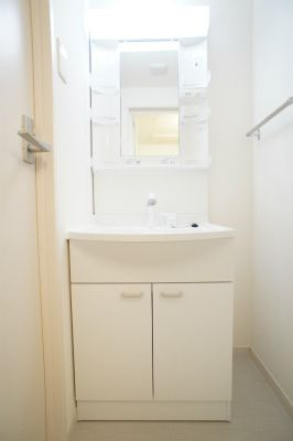 リブリ・六番館の洗面所