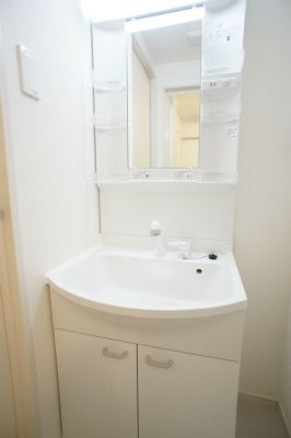 リブリ・六番館の洗面所