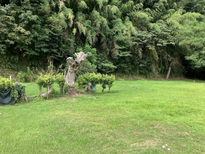 【外観】 | 出水市麓町土地（6筆）