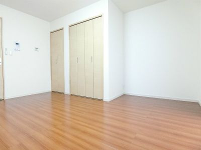 リブリ・ダーシェンカのその他