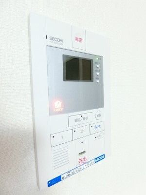 リブリ・ダーシェンカのセキュリティ