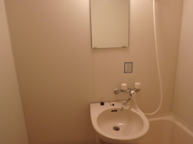 シャイリスの洗面所