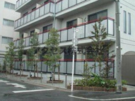 中野区中野１丁目のマンションの画像