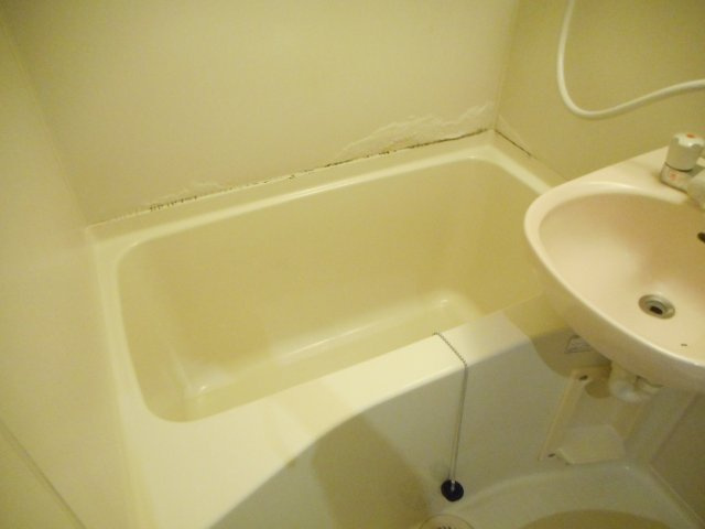 あるゾウパレス富士見の浴室