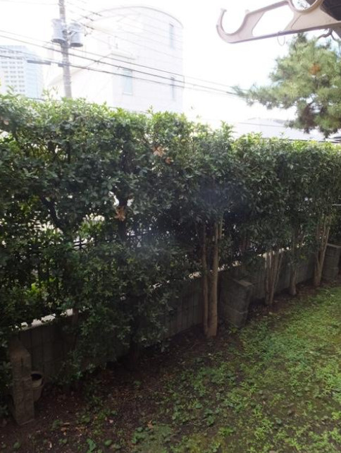 ル・ソレイユ上野毛　３面採光　南向き　振分　角部屋の庭