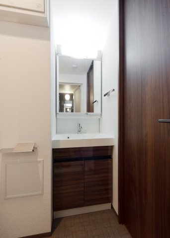 DIPS大山東町の洗面所