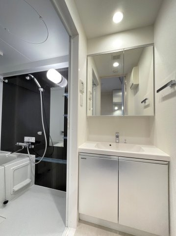 DIPS十条仲原WESTの洗面所