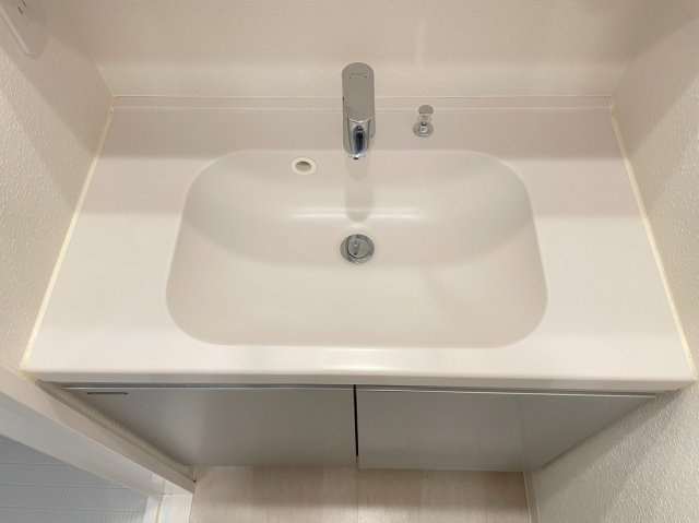 DIPS十条仲原WESTの独立洗面台