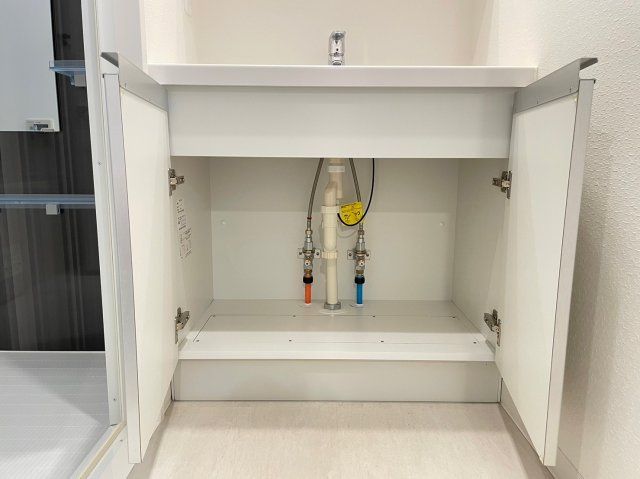 DIPS十条仲原WESTの独立洗面台