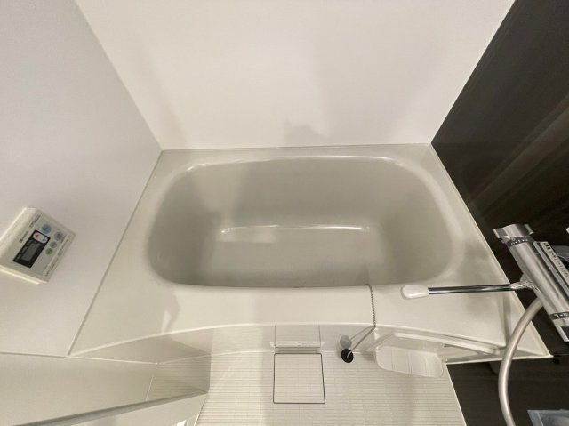 DIPS十条仲原WESTの浴室