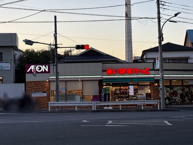 レオパレス心の周辺