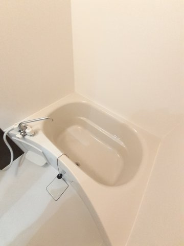 ルピナスのその他