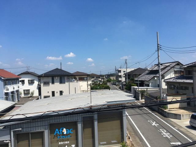 ルピナスの展望