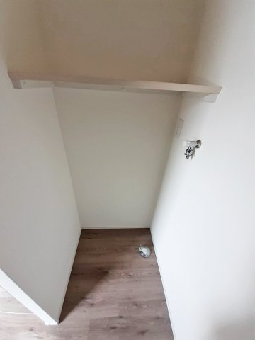 ルピナスのその他