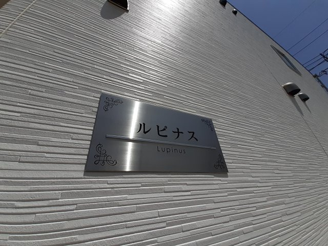 ルピナスのその他