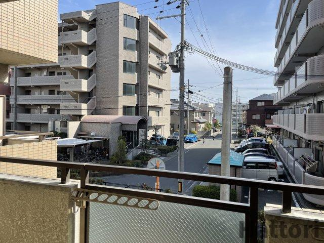 セレッソの展望