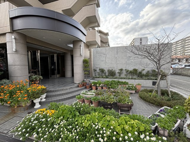 セレッソのエントランス