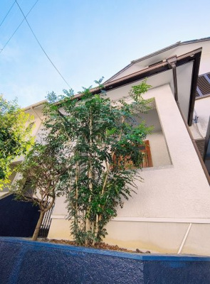 【外観】 | 宝塚市中筋山手3丁目　中古戸建 | 葉が細く涼しげで風にそよぐ姿が美しいシマトリネコの庭木が、自宅のシンボルツリーとしてお客様をお迎えします