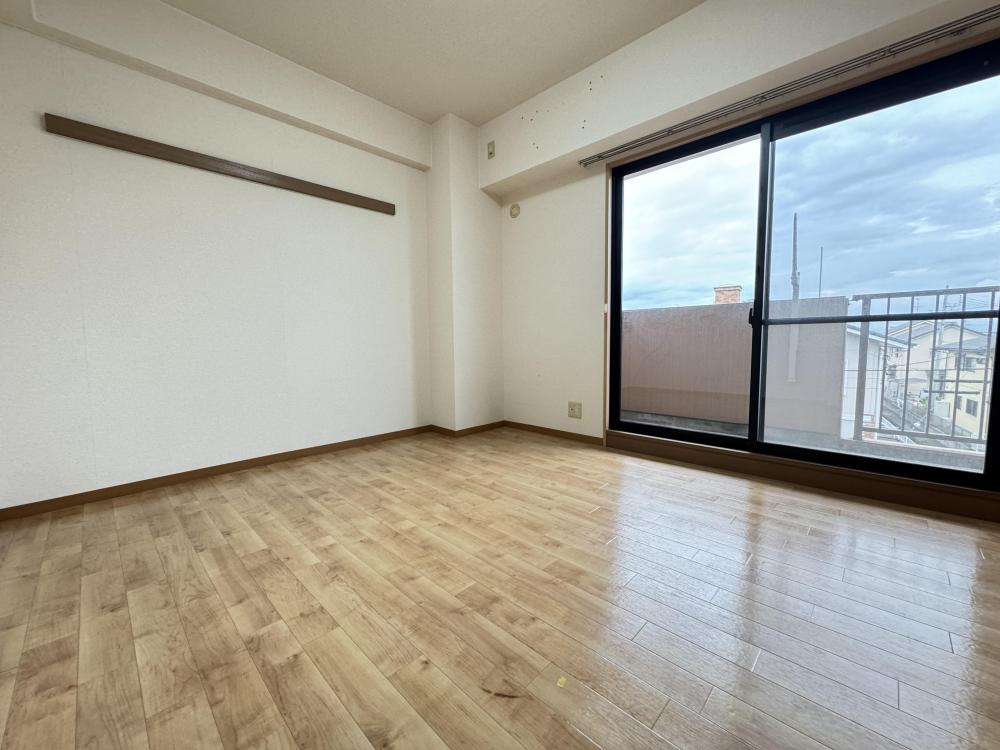 エミュールアサイの展望