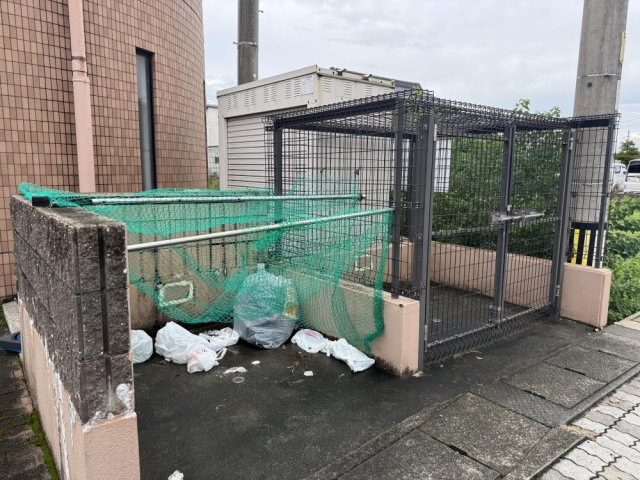 エミュールアサイのその他