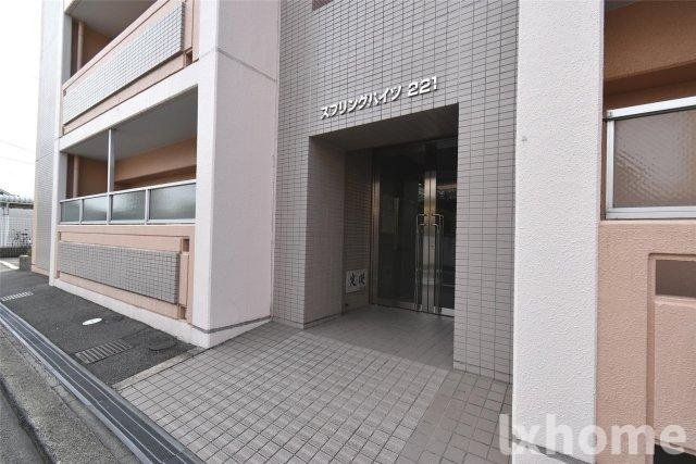 スプリングハイツ221のエントランス|建物の内部です