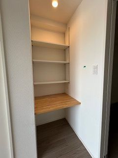 スプランディッド江坂DUEの収納|こまごまとしたものを収納できそうですね