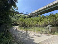 上梶原貸地の画像