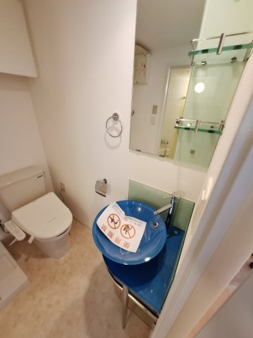 セレニテ甲子園Iの洗面所