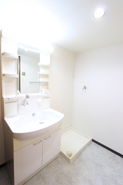 グラフィージュの洗面所|スペースが確保できる洗面所です