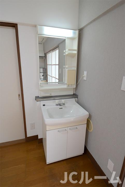 アシスト第7上越マンションⅡの洗面所