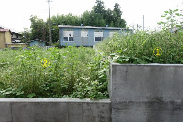 高崎市箕郷町矢原　【全２区画】売地②の外観|東から西方向