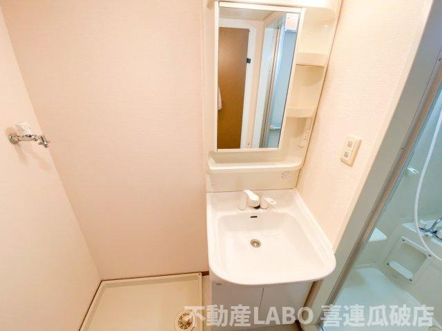 プランドール・ミノルのその他