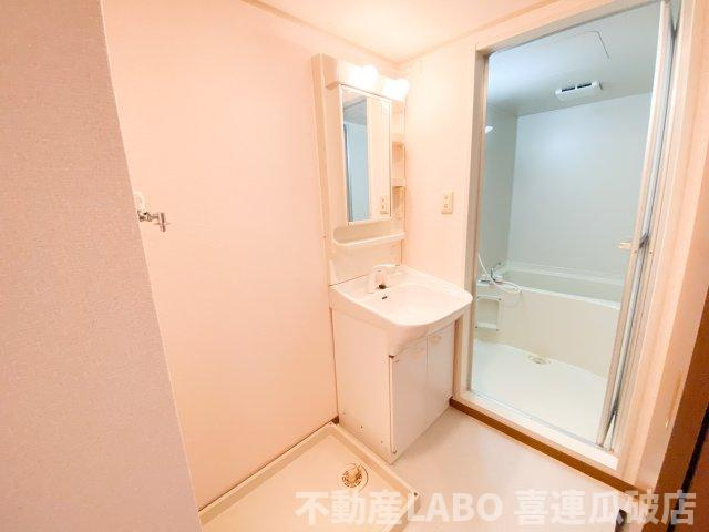 プランドール・ミノルのその他